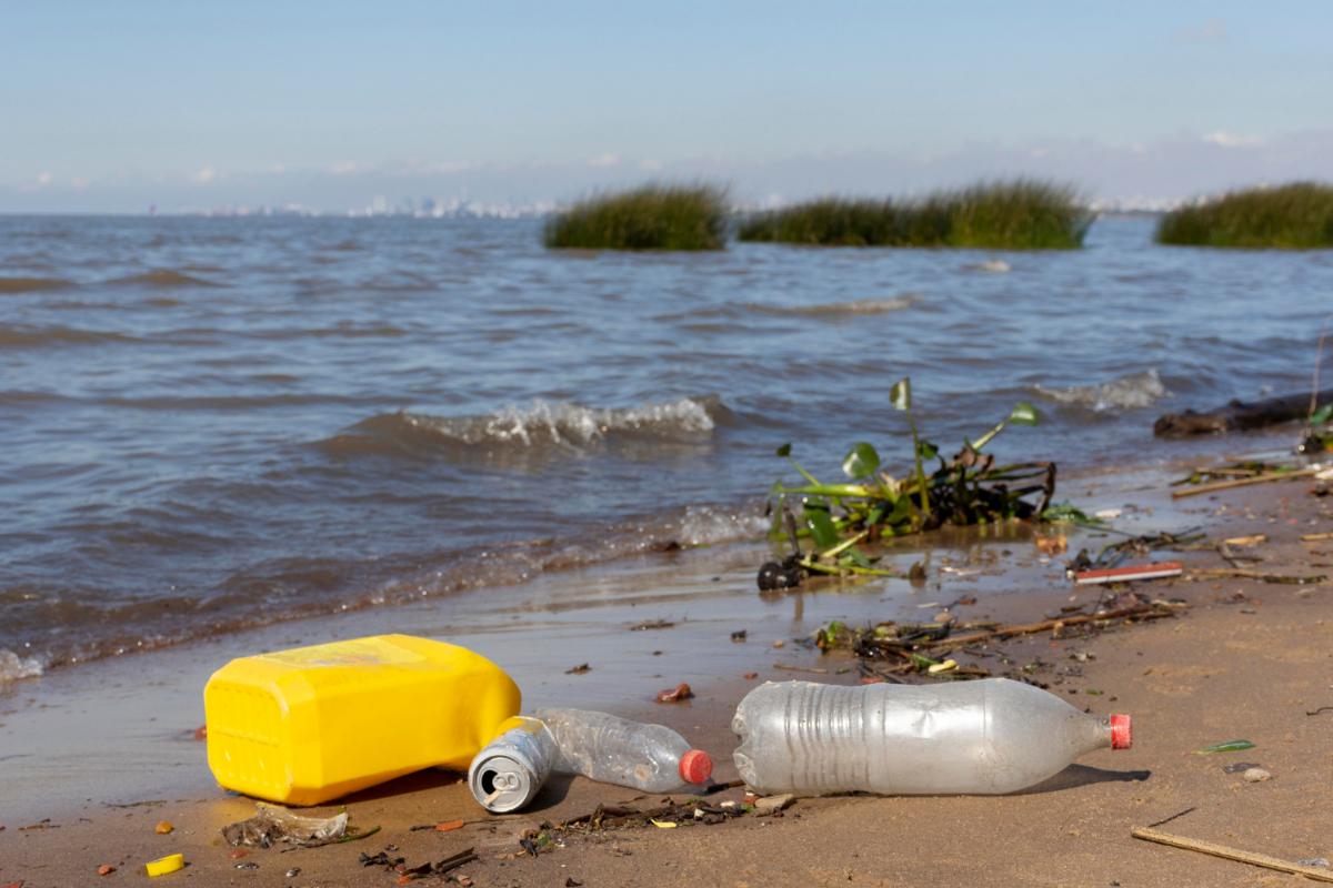 Efforts Underway to Stop Plastic Islands from Growing Bigger
