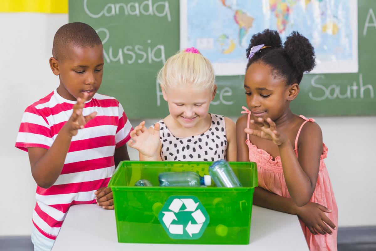 Make Your School Green and Focus on Sustainability