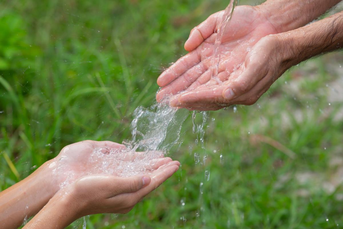 The Connection Between Carboard Recycling and Water