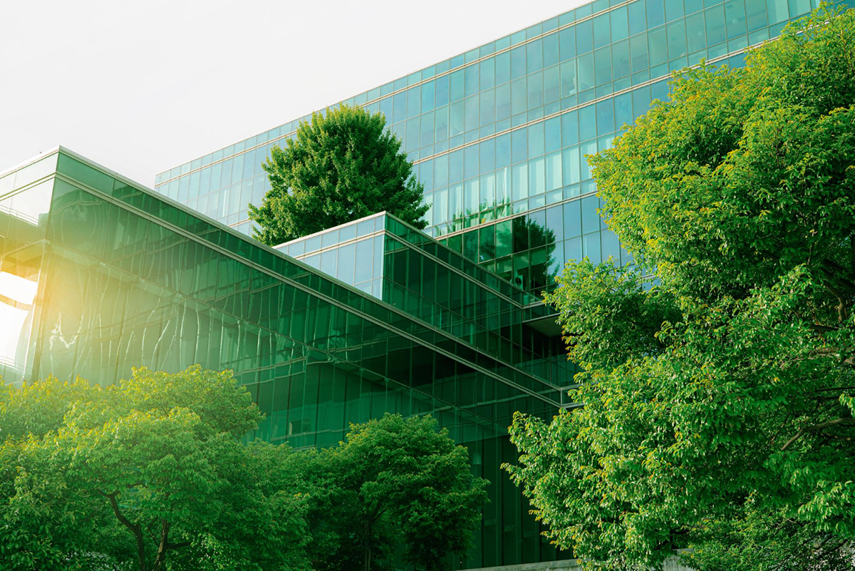 How Sustainable Offices are Contributing to a Greener Environment