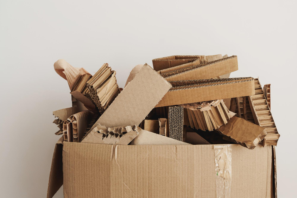 How Environment Sustainability Starts with Cardboard Recycling