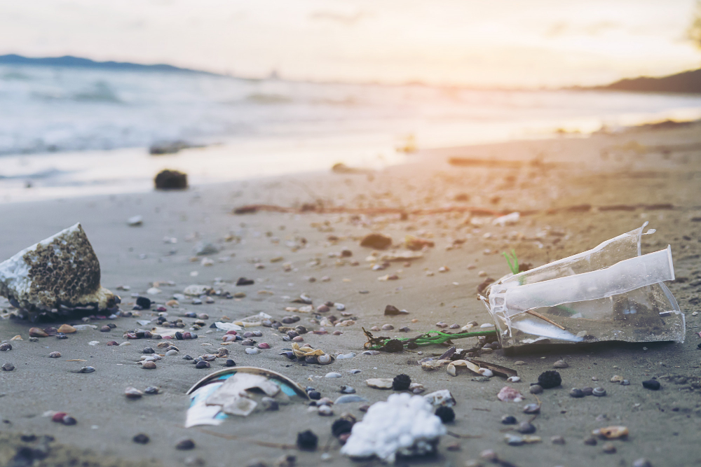 Plastic Recycling in New Jersey: A Guide to Cleaner Oceans