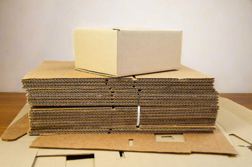 Your Guide to Cardboard Recycling and Types of Cardboard