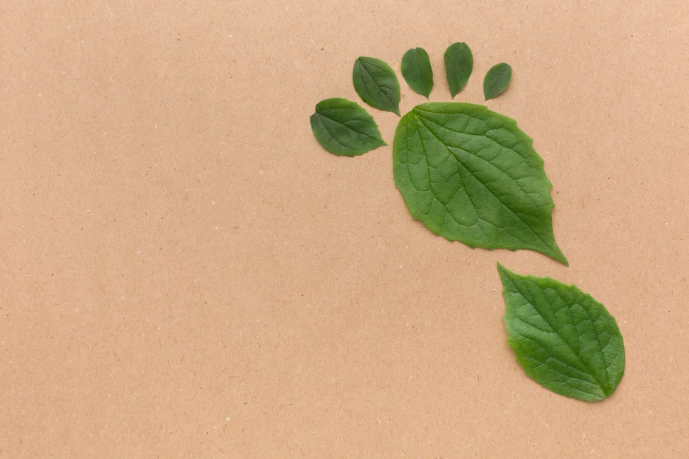 Easy Ways to Reduce Your Carbon Footprint